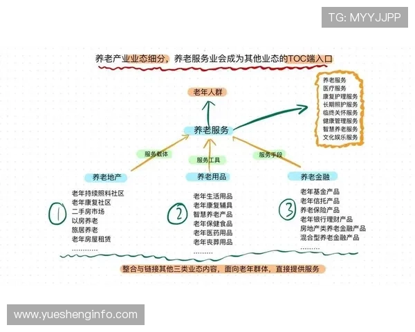 南京乒乓球队转型之路的挑战与机遇全景解析
